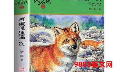 尾鱼的小说观看顺序,尾鱼之书：观看顺序的奥秘