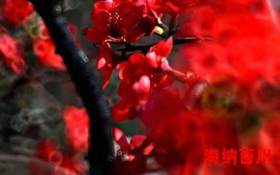 火树琪花免费阅读大结局-火树琪花在线阅读完整版